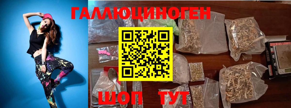 Псилоцибиновые грибы Cubensis Черногорск