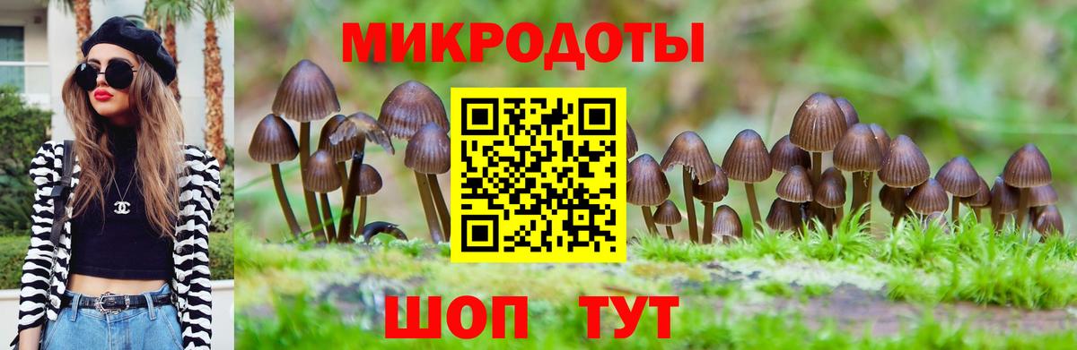 Галлюциногенные грибы прущие грибы  Вход с VPN  Черногорск 