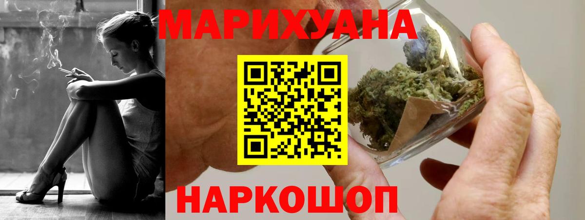 Каннабис сатива Черногорск
